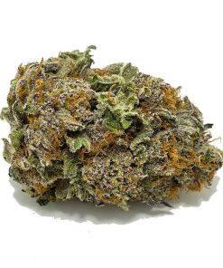 Forbidden Fruit AAAA