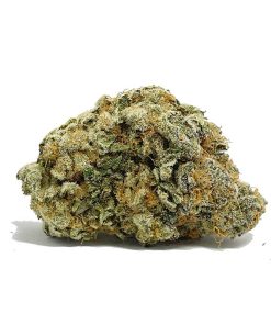 Black Tuna Strain AAAA