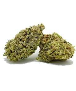 Girl Scout Cookies AA