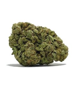 Black Cherry Soda AA