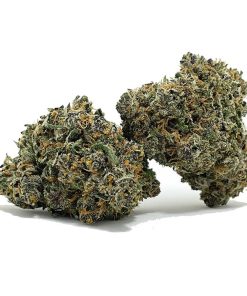 Buy Grease Monkey AAA Online