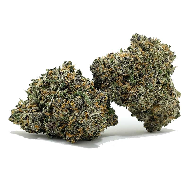 Buy Grease Monkey AAA Online