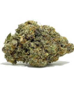 Tropic Truffle AAAAA