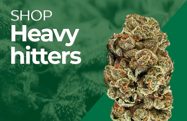 Cannabis dispensaries